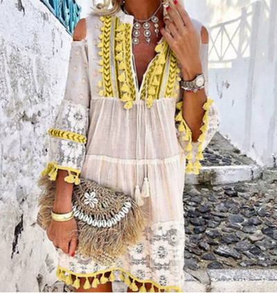 Bohemian Whimsy Embroidered Mini Dress